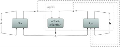 Inference of affordances and active motor control in simulated agents